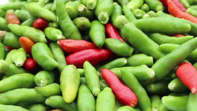 green chili rotation
