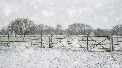 Winter landscape with snow falling and covering everything in English countryside