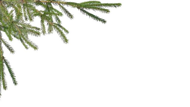 holiday branches greetings on the edges of the screen on an isolated white background