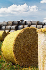 Hay stack on the field close up