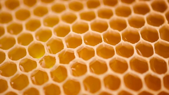 Honeycomb. Honey combs full of fresh organic sweet honey. Healthy food concept. Rotation 4K UHD video 3840X2160