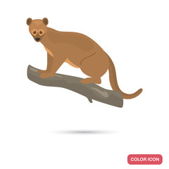 Madagascar fossa color flat icon
