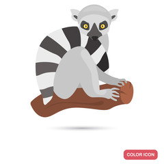 Cat lemur color flat icon