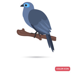 Madagascar blue cuckoo color flat icon