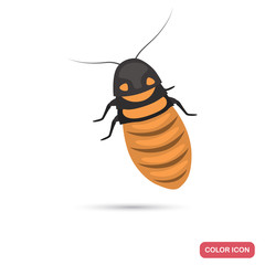 Madagascar cockroach color flat icon