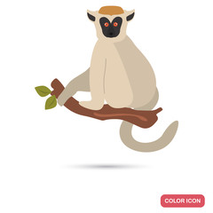 Madagascar sifaki lemur color flat icon