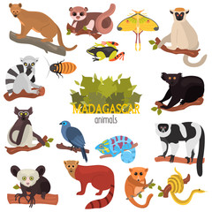 Madagascar unique animals color flat icons set - obrazy, fototapety, plakaty