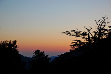 Sunrise with silhouette of trees in the mountains in Spring in Taiwan
