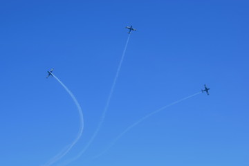Exhibición aérea.