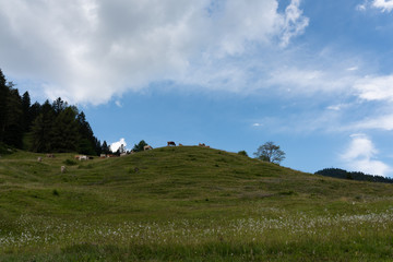 Himmel &uuml;ber den Bergen