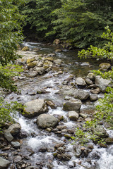 Mountain River and Stones