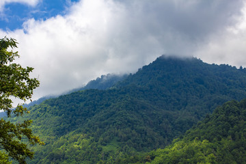 Mountain View in Georgia
