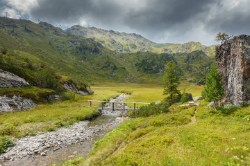 Fototapeta na wymiar Wanderweg mit Holzbrücke durch eine Naturlandschaft