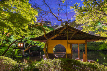 Traditional Japanese park at night with lanterns, pavilion and green Japanese maple trees growing near the pond