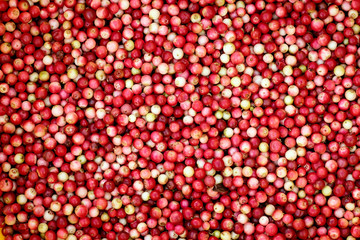 Cowberry, berry background.