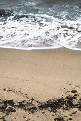 Seashore