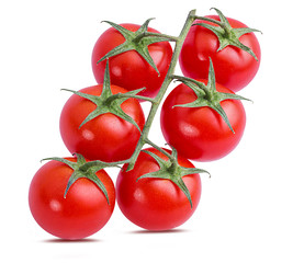 Fresh tomato branch isolated on white background with clipping path