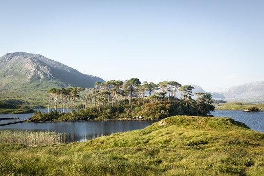 Lakes and trees with beautiful weather in Connemara national park near Roundstone, Galway, Clifden and Letterfrack. Travel to Ireland in Europe.
