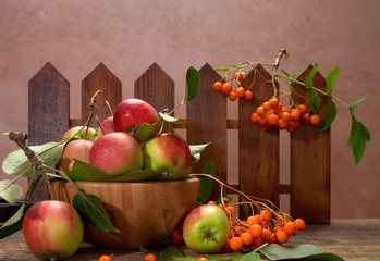 still life apples with leaves in a Cup with Rowan autumn harvest nature fruit vitamins