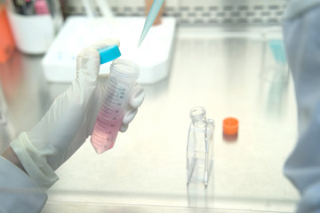 The woman researcher changing the a new growth medium for culture medium into the flask for maintain cell line in the research of drugs or chemicals in the laboratory room.