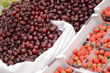 Marché dominical de la place du Miroir à Jette (Bruxelles) : Fruits

