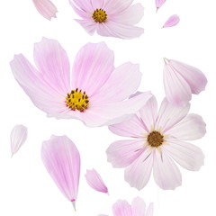 Beautiful flying pastel pink flowers