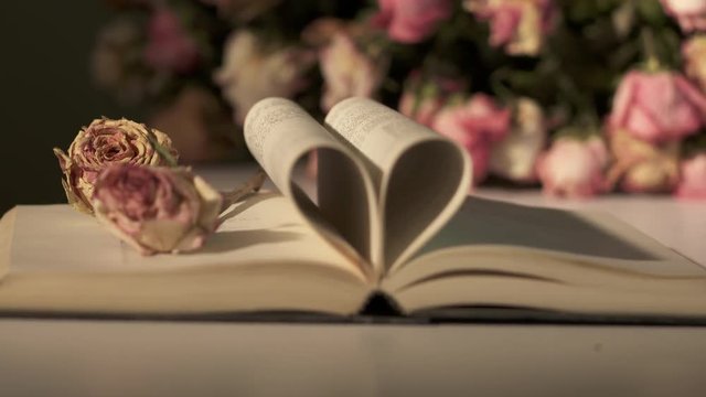 Open book with pages forming heart shape and withered rose flowers