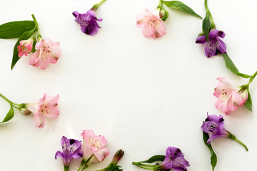 Obraz na płótnie Canvas Floral background. Roses, eustoma, lilies on white background. Summer, spring background.