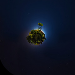 Out of space little planet night with dark sky and trees