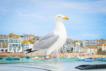 St. Ives, Cornwal, England