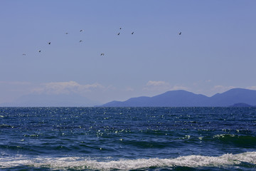 Marine landscape from Asprovalta camping to the mountain hills and birds flying over the sea.