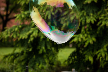 Flying soap bubble in front of green trees in the city