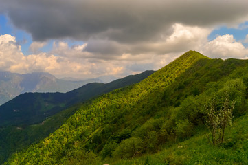 A summer day view of a green hill covered with green grass and trees with clouds making shadows over it