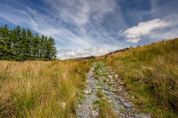 Snowdonia Hill Landscape National Park in Wales at Mount Snowdon