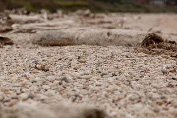 shinglecloseup beach as a nice background usa