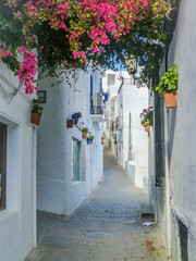 Mojacar, beautiful village of Granada in Andalousia,Spain