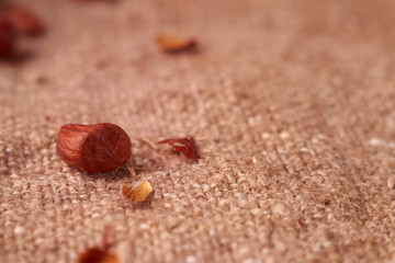 peanut hill Deep fried peanuts over rustic wicker background. emptiness place. Space for text. copyspace