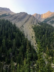 Massive scree slope splitting the forest high in the Canadian Rockies in Alberta, Canada