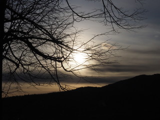 New day