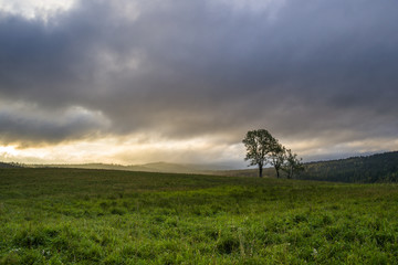 Obraz premium Bieszczadzki świt, Letni poranek w Bieszczadach