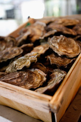 Oyster in wood container