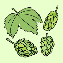 0005_V_Hop_Humuluss_Beer hops. Cones and leaf.eps