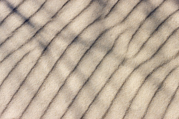 Sandy texture with pattern of branch shadows