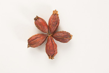 Traditional Chinese herbal health medicine ginseng.