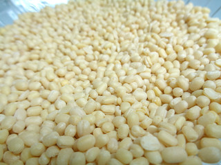 pulses grain