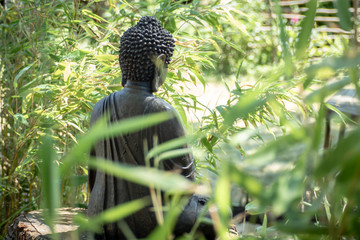 Buddah im Zengarten