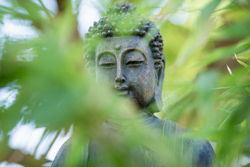 Buddah im Zengarten