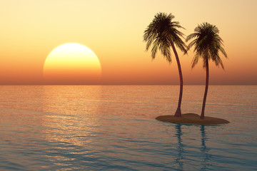 Obraz na płótnie Canvas palms on the island against the sunset