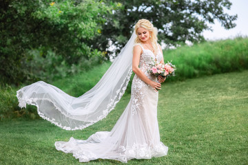 beautiful bride in wedding dress