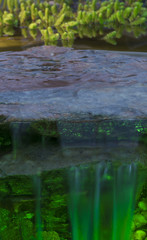 Green light on the water